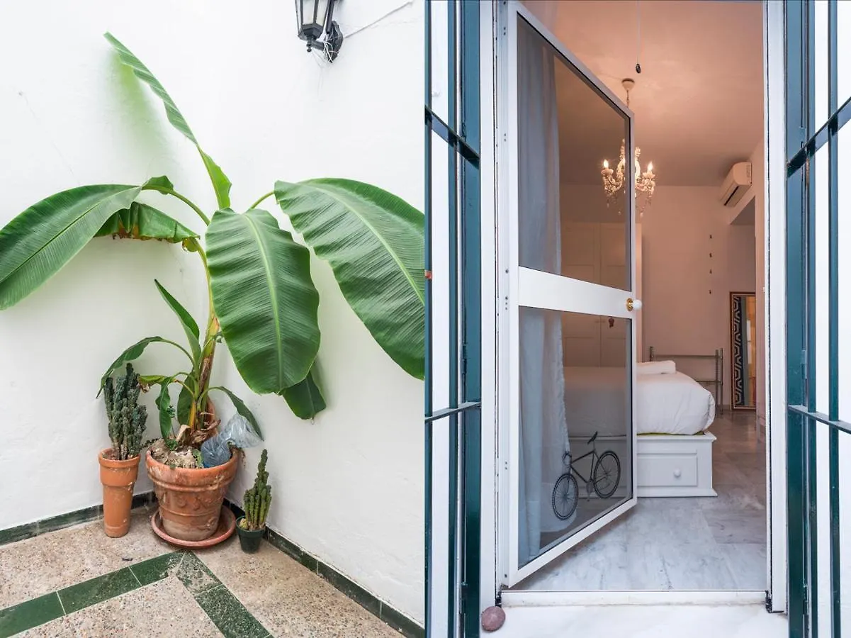 Alohamundi Aire Apartment Seville